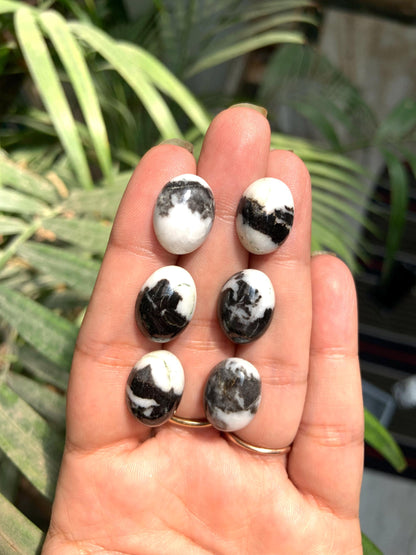 Zebra Jasper Oval Cabochons, Black & White Gemstone (12x16mm)