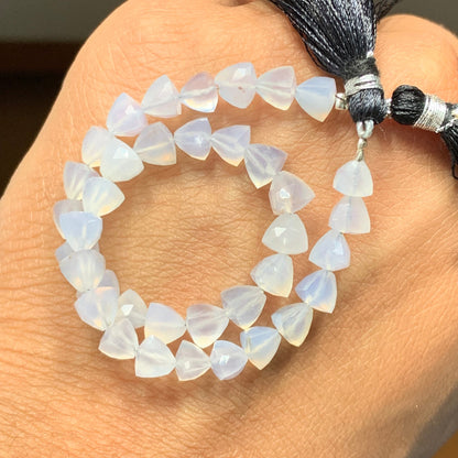 Natural Blue Lace Agate Faceted Trillion Briolette Beads