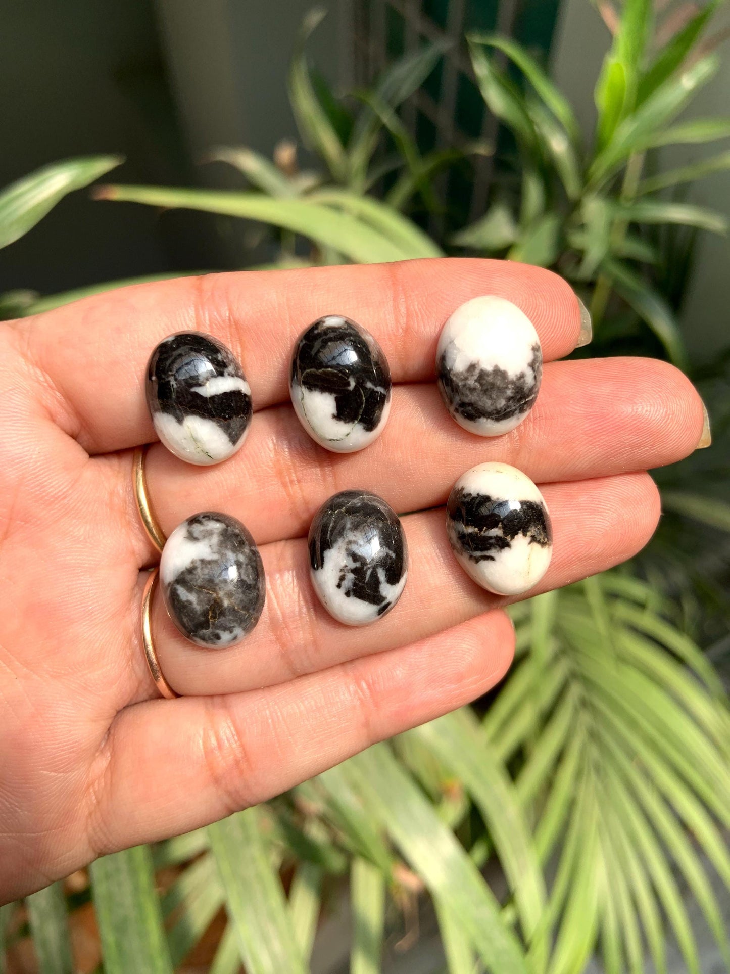 Zebra Jasper Oval Cabochons, Black & White Gemstone (12x16mm)