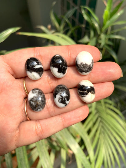 Zebra Jasper Oval Cabochons, Black & White Gemstone (12x16mm)