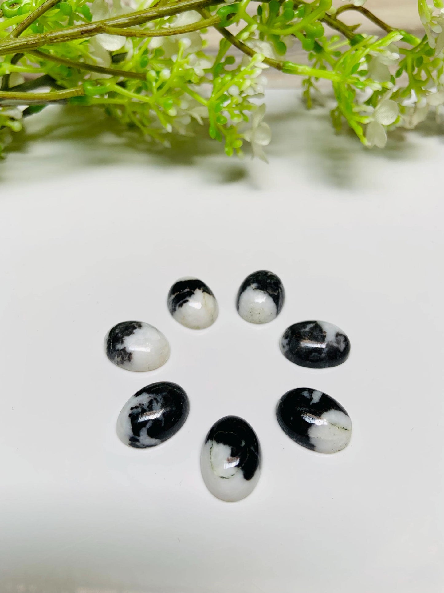 Zebra Jasper Oval Cabochons, Black & White Gemstone (12x16mm)