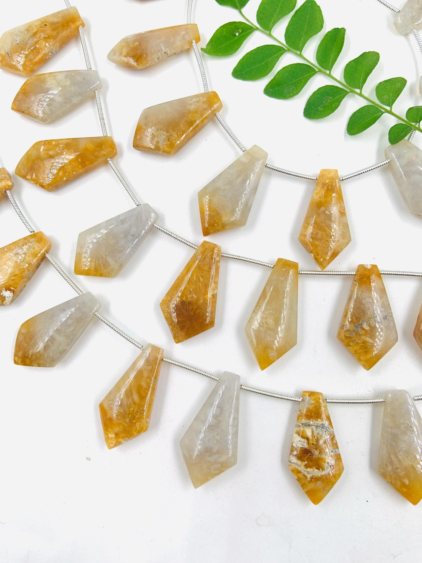 10 Pieces Natural Fossil Coral Smooth Kite Shape Briolette Beads
