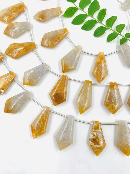 10 Pieces Natural Fossil Coral Smooth Kite Shape Briolette Beads