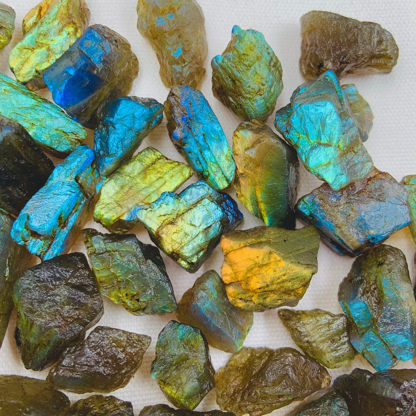 Natural Labradorite Multi Flashy Raw labradorite rough gemstone unshaped multi labradorite rough Size : 1" to 2" INCHES BBI1049