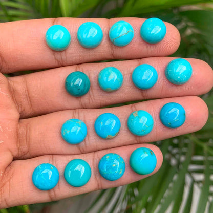 Natural Arizona Turquoise Round Gemstone Cabochon, CALIBRATED Loose Stone Cab, Round Jewelry Making Cabochons Semi Precious Cab