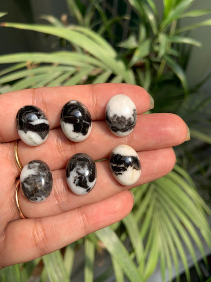 Zebra Jasper Oval Cabochons, Black & White Gemstone (12x16mm)