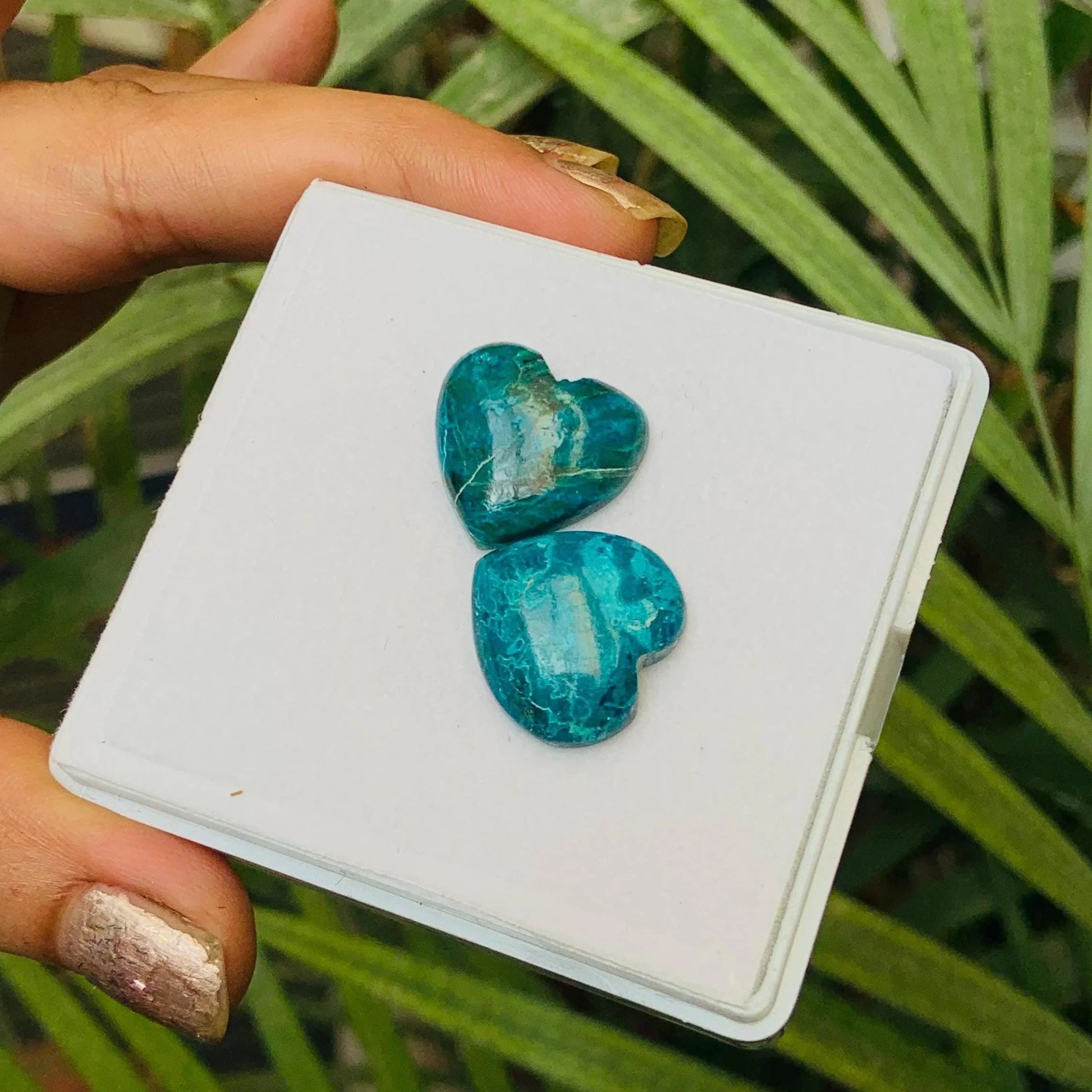 Hand holding two heart-shaped blue-green gemstone cabochons on display card outdoors