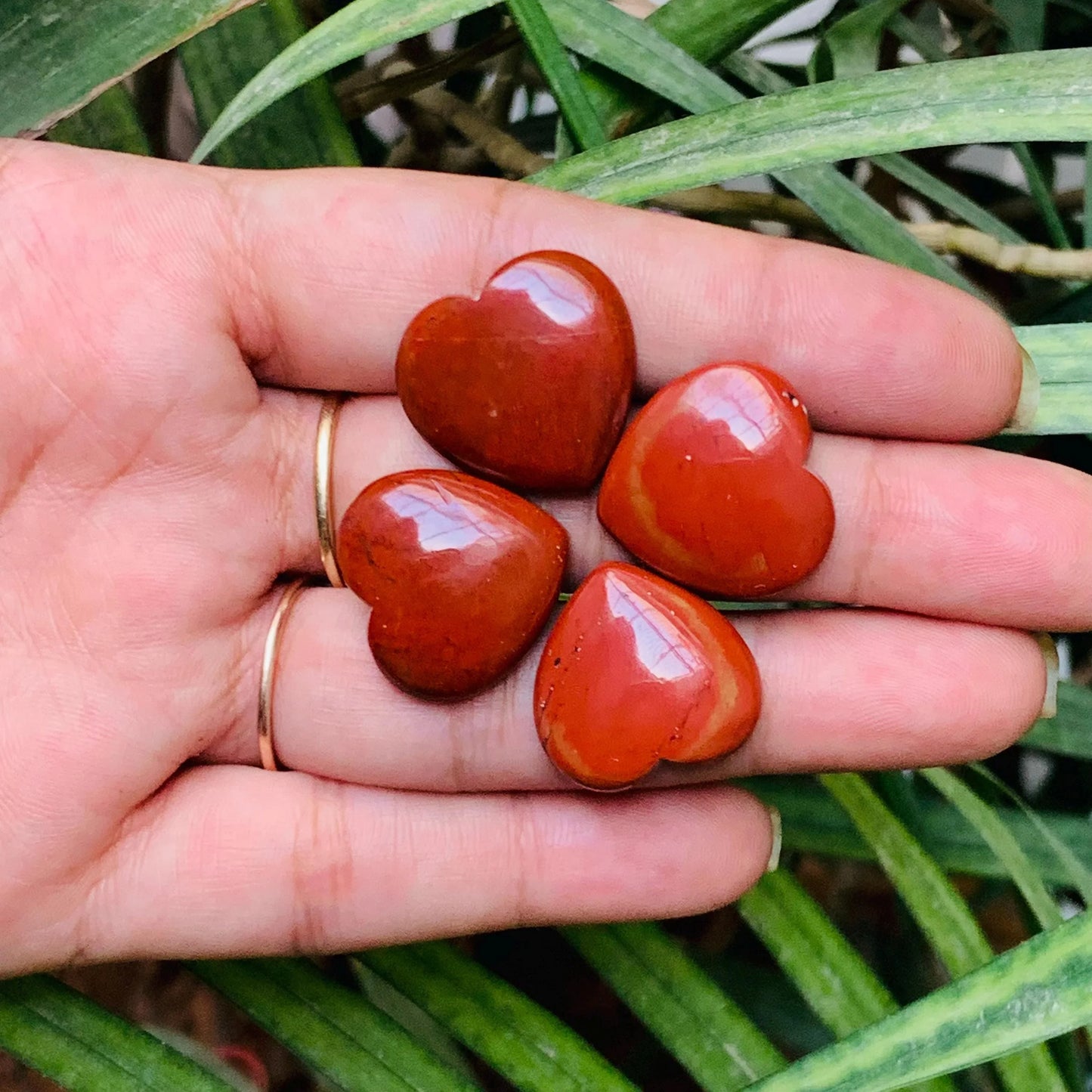 Four red jasper heart-shaped gemstones displayed on a hand, green leaves background