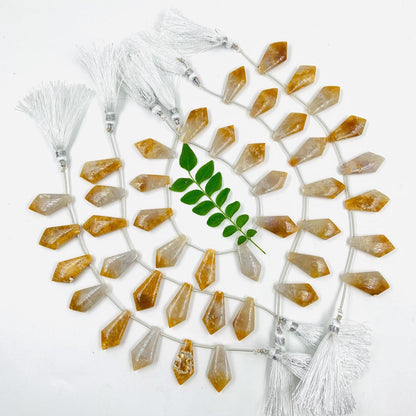 10 Pieces Natural Fossil Coral Smooth Kite Shape Briolette Beads