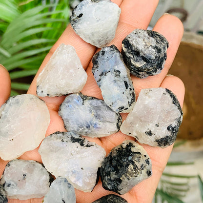 Natural Rainbow Moonstone Rough – Blue Flashy Gemstone Specimen (1-2 inch)