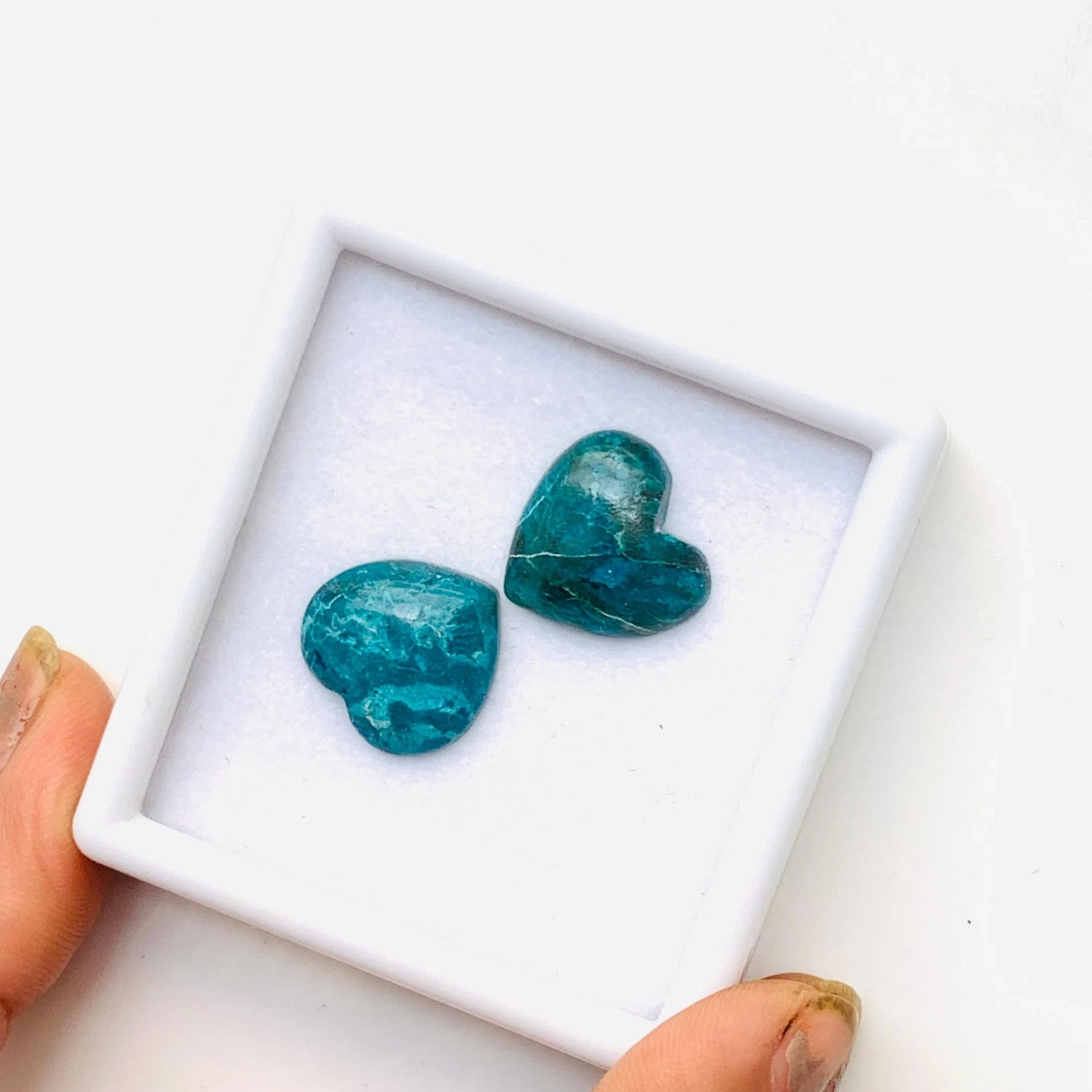 Pair of heart-shaped blue gemstone cabochons displayed in a white box