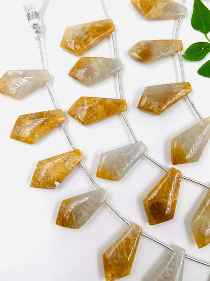 10 Pieces Natural Fossil Coral Smooth Kite Shape Briolette Beads