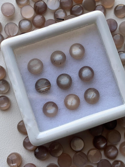 Natural Chocolate Moonstone Smooth Round Gemstone Cabochon, CALIBRATED Loose Stone Cab, Round Jewelry Cabochons Semi Precious Cabochons