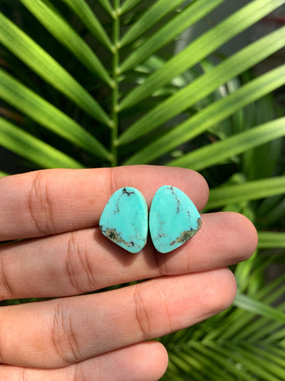 Natural Arizona Turquoise Matched Pair Cabochon Turquoise Pair Gemstone, Loose Gemstone, Earring making gemstone, Semi Precious Cabochons