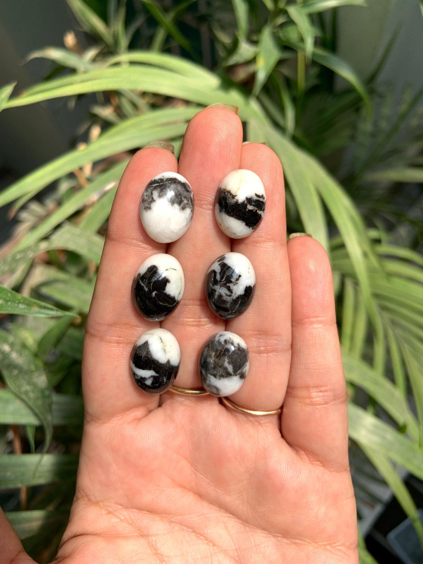Zebra Jasper Oval Cabochons, Black & White Gemstone (12x16mm)