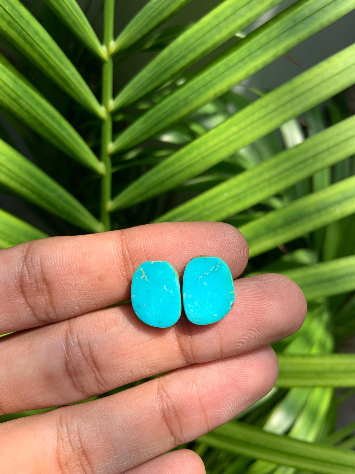 Natural Arizona Turquoise Matched Pair Cabochon Turquoise Pair Gemstone, Loose Gemstone, Earring making gemstone, Semi Precious Cabochons