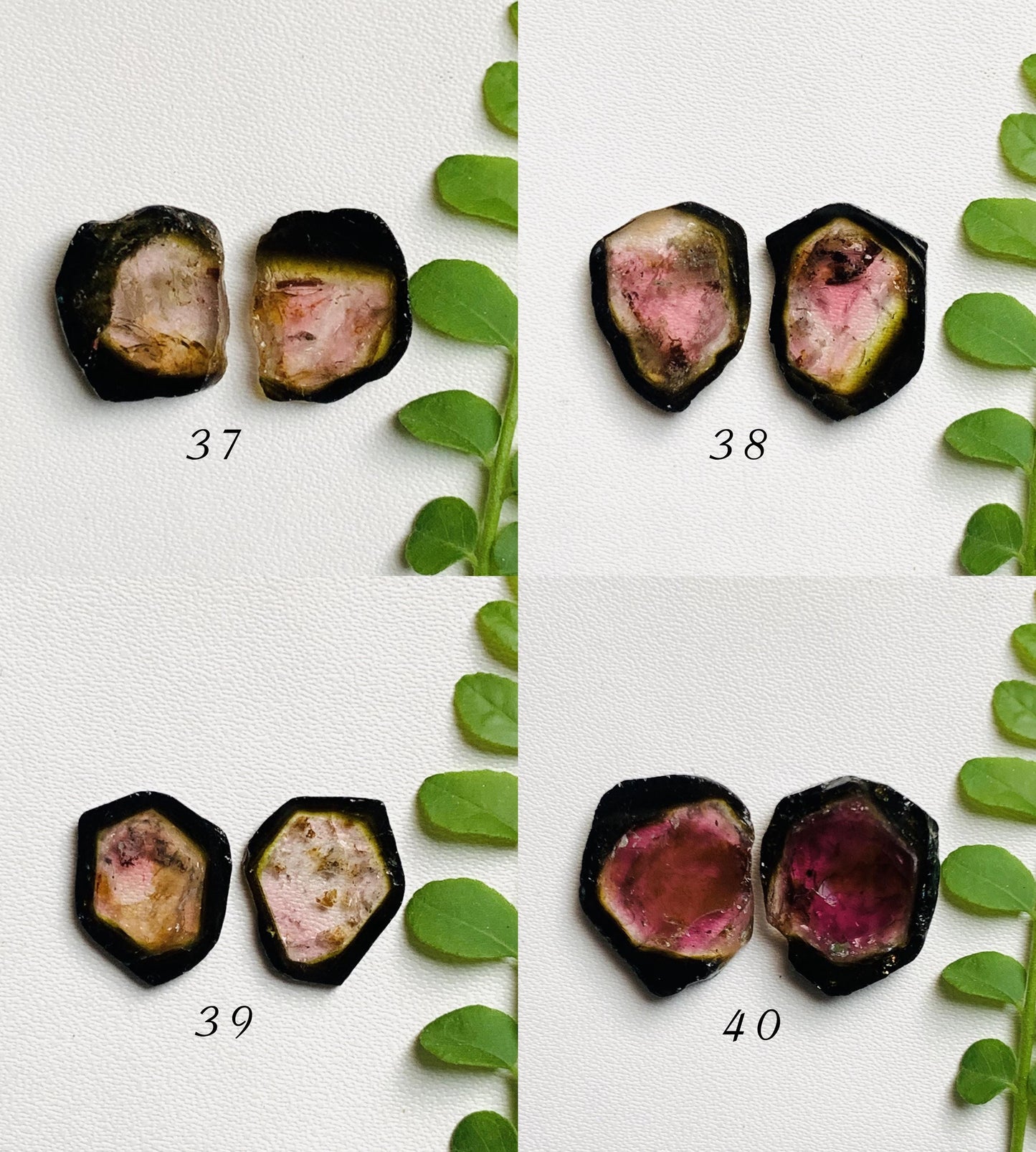 Natural Watermelon Tourmaline Pair Slices Gemstone Tourmaline Pair Gemstone, Bio color tourmaline Earring making slices Semi Precious Slices