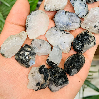 Natural Rainbow Moonstone Rough – Blue Flashy Gemstone Specimen (1-2 inch)