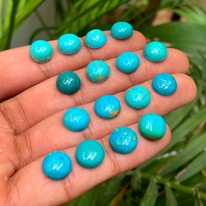 Natural Arizona Turquoise Round Gemstone Cabochon, CALIBRATED Loose Stone Cab, Round Jewelry Making Cabochons Semi Precious Cab