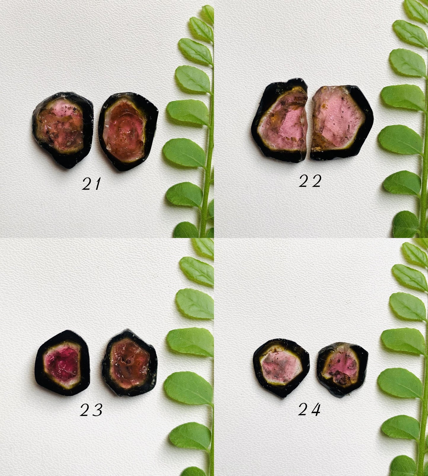Natural Watermelon Tourmaline Pair Slices Gemstone Tourmaline Pair Gemstone, Bio color tourmaline Earring making slices Semi Precious Slices