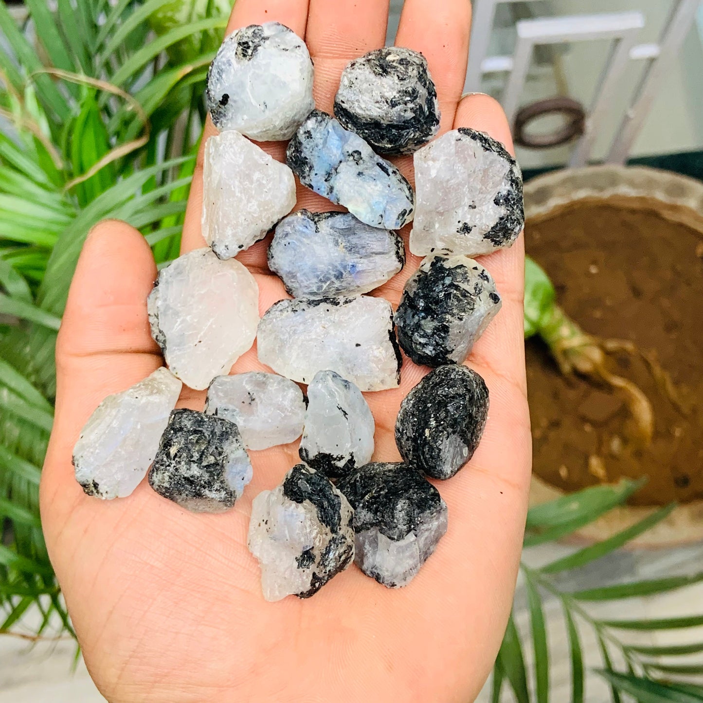 Natural Rainbow Moonstone Rough – Blue Flashy Gemstone Specimen (1-2 inch)