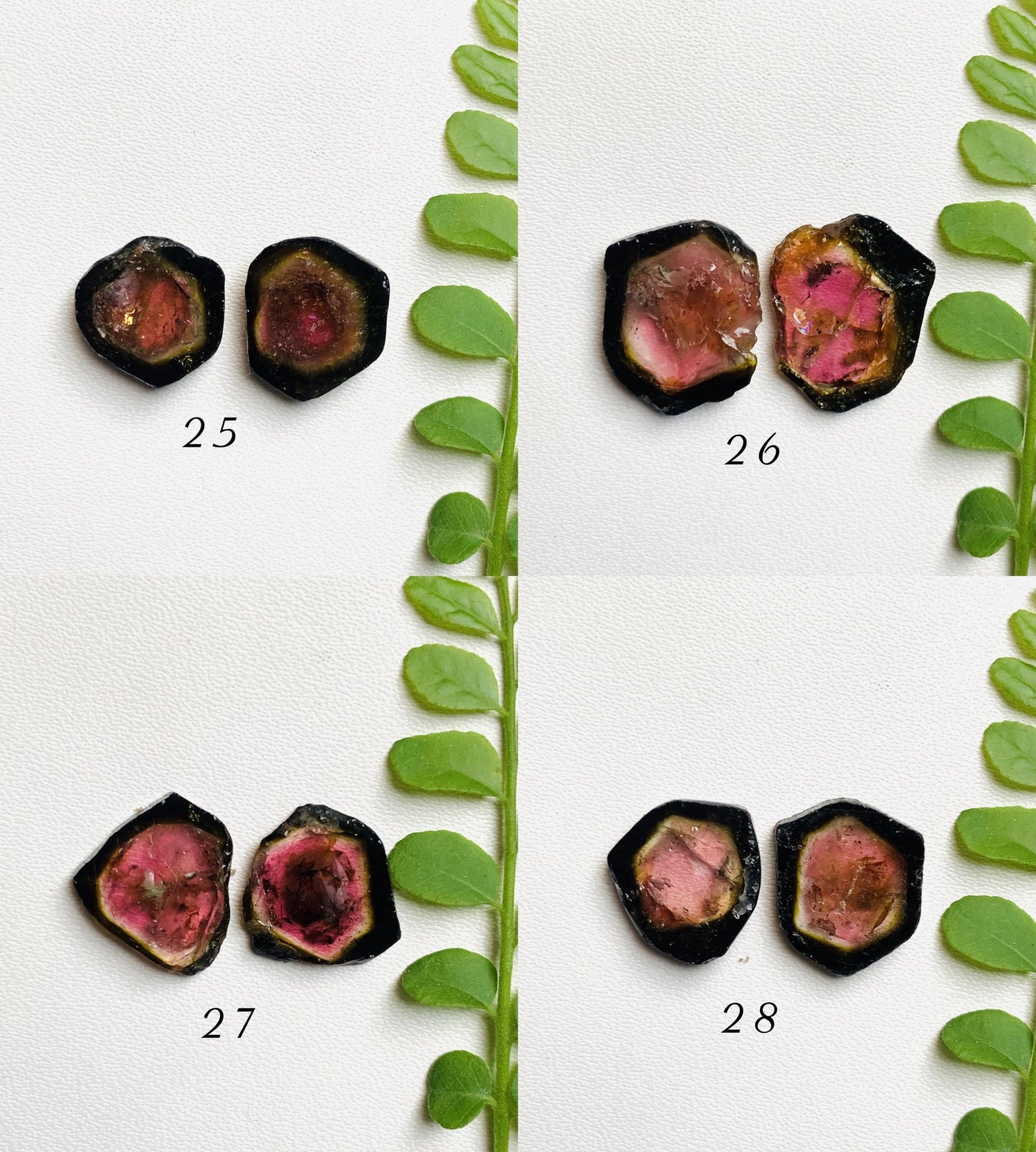 Natural Watermelon Tourmaline Pair Slices Gemstone Tourmaline Pair Gemstone, Bio color tourmaline Earring making slices Semi Precious Slices