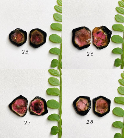 Natural Watermelon Tourmaline Pair Slices Gemstone Tourmaline Pair Gemstone, Bio color tourmaline Earring making slices Semi Precious Slices
