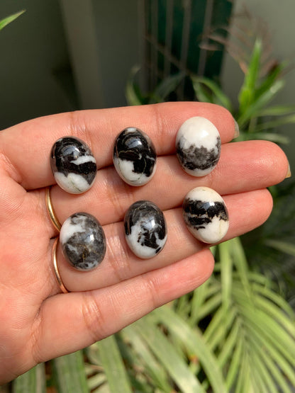Zebra Jasper Oval Cabochons, Black & White Gemstone (12x16mm)