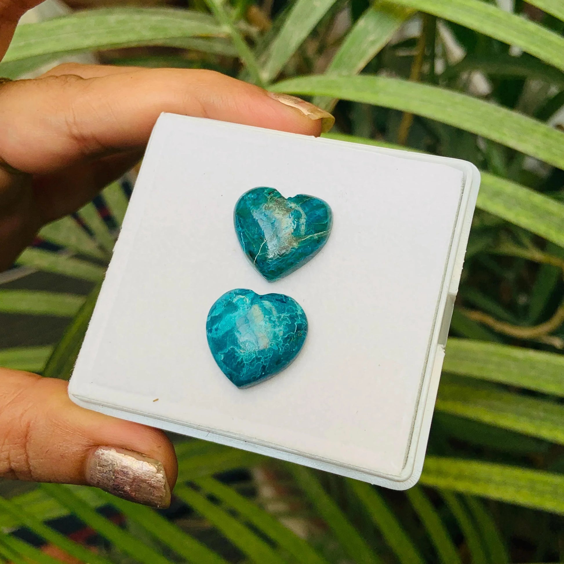 Pair of heart-shaped blue-green gemstone cabochons displayed on a white card outdoors