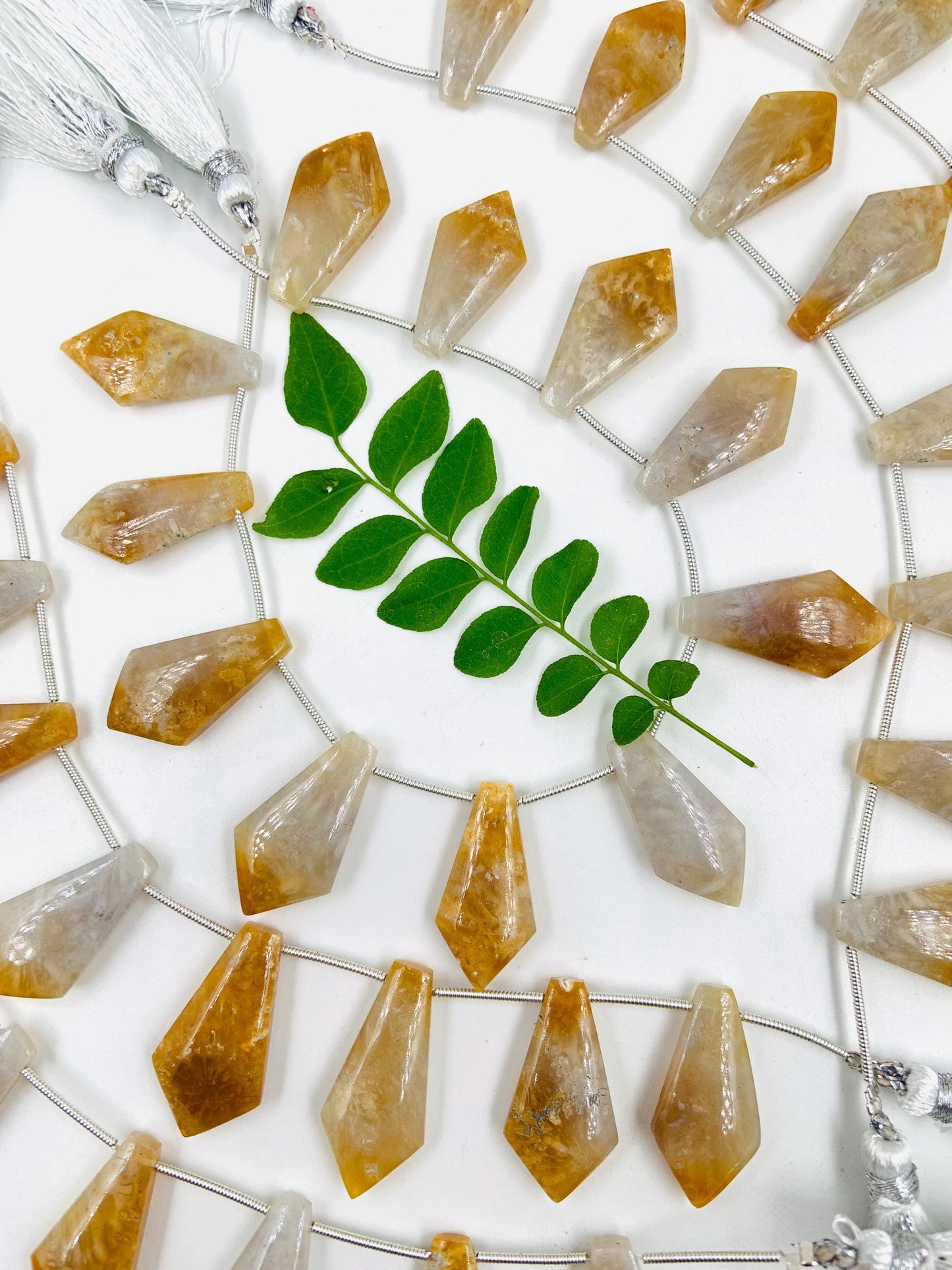 10 Pieces Natural Fossil Coral Smooth Kite Shape Briolette Beads